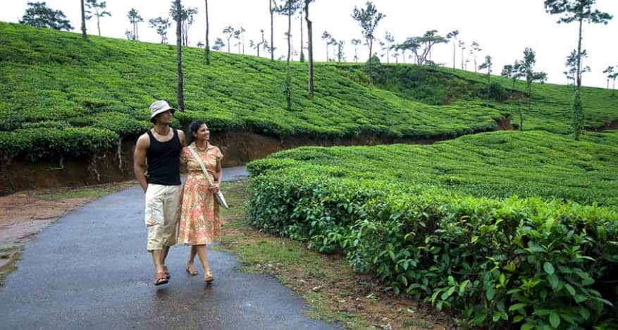 Chill in the Cosy weather of Darjeeling